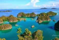 Pemekaran Wilayah Papua Barat Daya: Wacana Pembentukan Enam Kabupaten Baru Bukan Ambisi Politik Semata