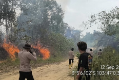 Karhutla Terjadi di Tebing Bulang Muba, Polsek Sungai Keruh dan Damkar Turun Padamkan Api