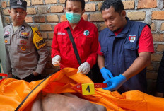 Pria di OKU Ditemukan Tewas Diselokan