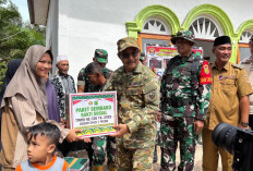 Apresiasi Sinergi TNI dan Masyarakat Bangun Desa