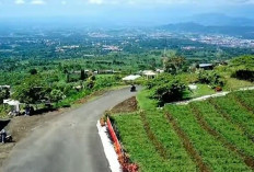Pemekaran Wilayah Jawa Barat: Wacana Pembentukan Kabupaten Kuningan Timur Untuk Pemerataan Pembangunan