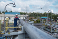 PEP Zona 4 Temukan Suntikan Energi Baru, Potensi 3.073 BOPD di Sumur LBK-030 Muara Enim