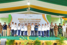 Panen Raya Hasil Padi Kalium Humat Bukti Hilirisasi Batubara Dukung Ketahanan Pangan Nasional