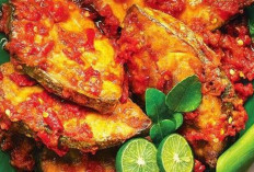 Ikan Tongkol Balado Tetap Jadi Favorit di Meja Makan Masyarakat Indonesia