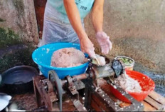 Jelang Idul Adha, Harga Ikan Gabus Giling di OKU Tembus Rp90 Ribu Perkg