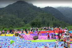 Pemekaran Wilayah Jawa Barat: Wacana Pembentukan Kabupaten Ciamis Utara Untuk Efisiensi Pemerintahan