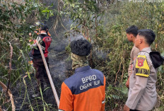 Operasi Aman Nusa II, Personel BKO Dit Samapta Polda Sumsel Padamkan Karhutla di Indralaya