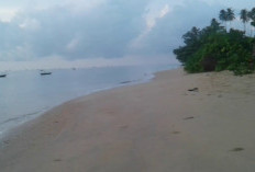 Pemekaran Wilayah Sumatera Utara: Wacana Pembentukan Kabupaten Teluk Aru Karena Jauh dari Pusat Pemerintahan