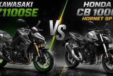 Kawasaki Z1100 SE vs Honda CB1000 Hornet SP: Duel Naked Bike 4 Silinder, Mana yang Lebih Buas? 