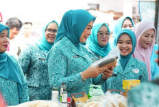 Feby Herman Deru Kunjungi Banyuasin, Resmikan Sekretariat TP PKK dan Pantau Pelaksanaan 10 Program Pokok PKK
