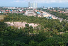 Pemekaran Wilayah Kepulauan Riau: Usulan Pembentukan Provinsi Batam Dinilai Mampu Membuka Peluang Baru
