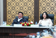 Herman Deru Optimistis Program 100 Ribu Sultan Muda Cetak Generasi Wirausaha dan Penggerak Ekonomi Sumsel     