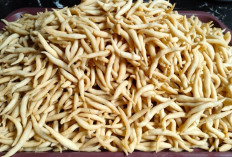 Telur Gabus, Camilan Tradisional yang Tetap Digemari di Tengah Gempuran Makanan Modern