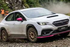 Subaru WRX STI Edisi Spesial Rp1,2 Miliar, Tampil Makin Agresif. 