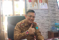 Viral Dua Mobil Dinas Berpelat Sama di Palembang, Pemkab Ogan Ilir Beri Teguran dan Tarik Kendaraan