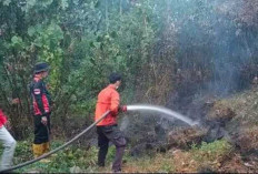 Dua Lahan dì OKU  Terbakar, Luasnya Capai 3 Ha