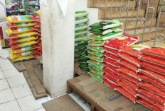 Stok Beras Aman, Kemasan 5 Kg Laku Keras