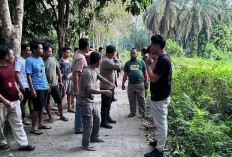 Bujangan di Gunung Megang, Ditemukan Bersumbah Darah