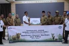 SMBR Berbagi Berkah Idul Adha, 17 Sapi Qurbn Disalurkan Untuk Masyarakat Ring 1