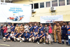 Pelindo Group Salurkan 19 Hewan Kurban, Perkuat Kepedulian Sosial dan Kebersamaan sama Warga Ring 1 Pelabuhan