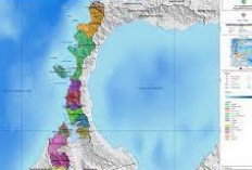 Pemekaran Wilayah Sulawesi Tengah: Wacana Pembentukan Provinsi Seribu Megalit Poso Kian Menguat