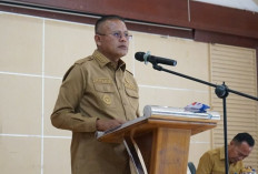 Cegah Karhutla Meluas, Wali Kota Prabumulih Perintahkan Camat dan Lurah Kompak dan Aktif Pantau Wilayah