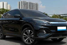 Selisih Tipis, Fitur Melimpah! Atto 3 Advanced Plus Lebih Menggiurkan dari Superior