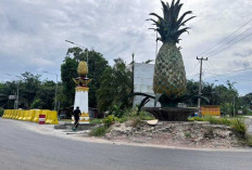 Warga Prabumulih Tolak Pembongkaran Tugu Nanas, Aksi Penolakan Viral di Media Sosial