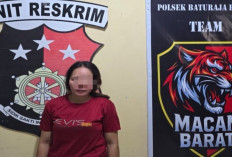 Curi Brondolan Sawit, IRT di OKU Ditangkap Polisi