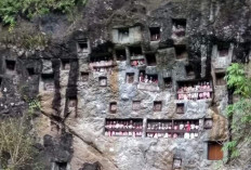 Pemekaran Wilayah Sulawesi Selatan: 10 Fakta Menarik Calon Provinsi Tana Toraja yang Belum Banyak Diketahui