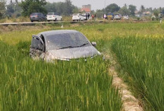 ‎Dikejar Polisi, Mobil Pengedar Narkoba 'Nyungsep' Ke Sawah Warga