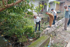 Jelang Akhir Tahun, Wali Kota Prabumulih H Arlan Tinjau Rehab Jembatan Kuning dan Gorong-gorong