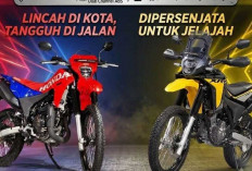 Honda XR300L dan XR300 Rally Meluncur, DNA Sama, Siap Goyang Trail Dunia dan Adventur! 