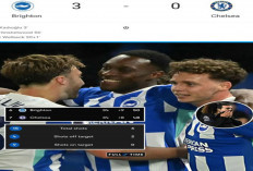 Hasil Liga Premier Inggris: Chelsea Dibantai Brighton 3-0, The Blues Turun Klasemen.