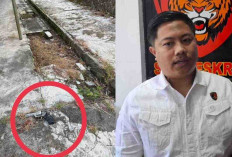 Soal Senpi  Percobaan Pencurian di Rumah Polisi, Kasat Reskrim Ungkap Fakta Ini! 