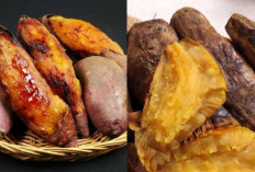 Ubi Cilembu, Si Manis dari Sumedang yang Terus Menjaga Pamor di Pasar Nasional