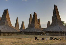 Pemekaran Wilayah Nusa Tenggara Timur: Wacana Pembentukan Kabupaten Sumba Timur Jaya Solusi Pelayanan Publik