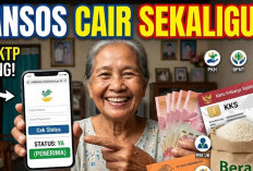 Bansos Juli 2026 Mulai Cair, Simak Jadwal PKH, BPNT, PIP hingga Bantuan Beras dan Cara Cek Status Penerima