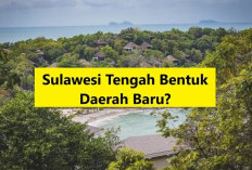 Pemekaran Wilayah Sulawesi Tengah: Wacana Pembentukan Provinsi Seribu Megalit Poso Dorong Pemerataan Pembangun