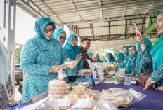 TP PKK Muba dorong lansia tetap sehat, mandiri, dan produktif