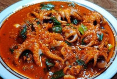Gurita Sambal Balado, Perpaduan Cita Rasa Laut dan Rempah Nusantara yang Semakin Digemari