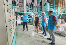 Konsumsi Listrik Nasional Tumbuh, PLN Catat Penjualan 317,69 TWh di 2025