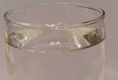 Waktu Tepat Minum Air Putih untuk Menjaga Kesehatan Tubuh, Ini Penjelasan Ahli