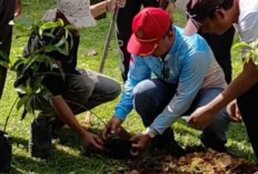 Gerakan Hijau Prabumulih Digenjot, Pemkot Tanam Pohon Buah untuk Lingkungan dan Ketahanan Pangan