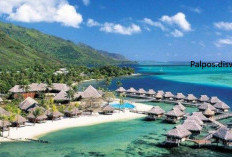 Pemekaran Wilayah Nusa Tenggara Barat: Wacana Pembentukan Kota Selong Dikenal Sebagai Pusat Administrasi