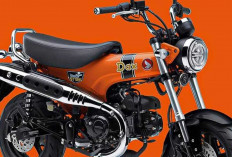 Honda ST125 Dax 2026 Muncul dengan Warna Orange, Makin Playful dan Ikonik!
