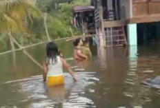 Banjir Landa Desa Tanjung Miring Ogan Ilir, Aktivitas warga  Terhambat