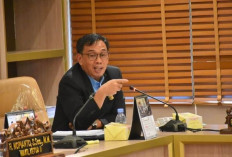 Desa Wisata Gunung Dempo Ditutup, Alfrenzi Panggarbesi minta Walikota dan PTPN Duduk Bareng