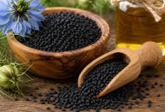 Mengenal Habbatussauda: Si Jinten Hitam yang Kaya Manfaat untuk Kesehatan Tubuh