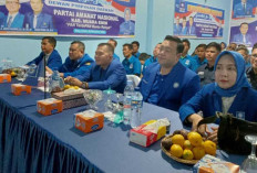 Musda Serentak, Izudin Efendi Pimpin PAN Muara Enim